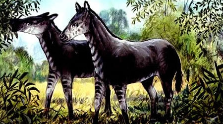 dientecaballo2 dientecaballo2