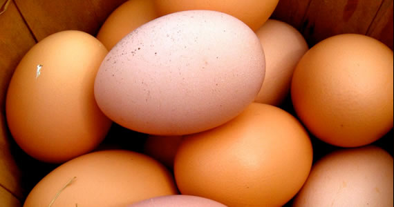 comida-huevos
