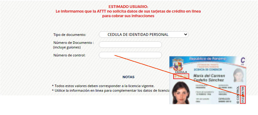 consulta de boletas